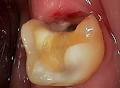Apple Dental image 1
