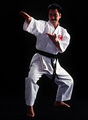 Australian Institute of Karate image 2