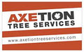 Axetion Tree Services - Melbourne Tree Pruning And Tree Surgery image 2