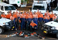 Byron Bay Tree Services image 4