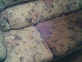 Country Carpet Cleaning image 4