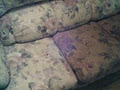 Country Carpet Cleaning image 6