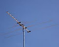 Digital Ready TV Antennas logo