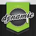 Dynamic Graphic Solutions logo
