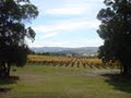 Goaty Hill Wines image 1
