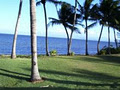 Island Palms Resort logo