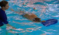 Just Swimming Wesley image 5