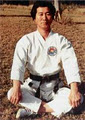Moon Lee Tae Kwon Do Self Defence image 4