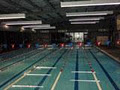 Mornington Peninsula Flyers Swimming Club image 1