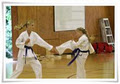 Pacific International Taekwondo image 1