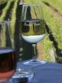 Paringa Estate Winery And Restaurant image 6