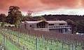 Paringa Estate Winery And Restaurant image 1