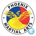 Phoenix Martial Arts image 2