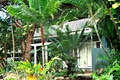 Port Douglas Artist's Treehouse image 3