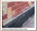 Professional Damp Proofing logo