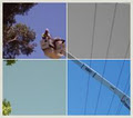 Specialised Tree Lopping image 1