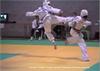 Sun Bae Taekwondo & Hapkido - Mt Gravatt image 4