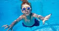Swimming Pool Safety Inspections image 1