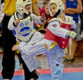 Tan's Taekwondo image 2