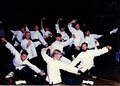 Traditional School of Chinese Martial Arts image 1