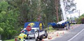 Treesafe Australia Pty Ltd image 2