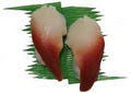 UTA Sushi Bar image 6