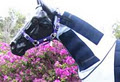 horsefabulous products and equipment image 6