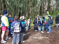7th Ringwood Scouts image 3