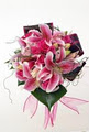 A & L Florist - Sydney Flower Supplies logo