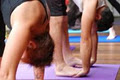 Ashtanga Yoga with Marc Potter logo