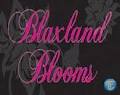Blaxland Blooms logo