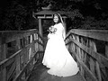 Bozgraphy - Wedding & Portrait Photography image 1