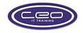 CEO IT Training logo