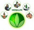 Herbalife Weight Loss & Wellness logo