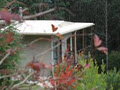 Lyrebird Cottages image 1