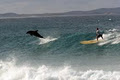 Mojo Surf Australia image 3