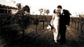 Moving Presentations - Sydney Wedding Videos image 2