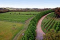 Nazaaray Estate Winery image 3