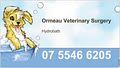 Ormeau Veterinary Surgery image 3