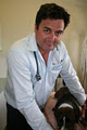 Palmyra Veterinary Hospital image 2