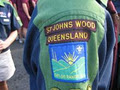 St Johns Wood Scouts logo