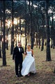 Wedding photographer Sydney, View Photography image 4
