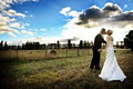 Weddings by Ruth image 6