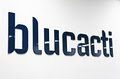 Blu Cacti image 2