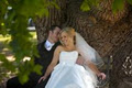 Boxer Wedding Photography and Video Melbourne image 5