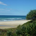 DuneS on Shelly Beach - Weddings, Camp & Conference Centre logo