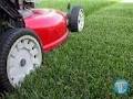 HQ Mowing image 1