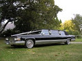 Hollywood Limousines image 1