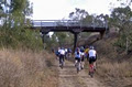 Linville - Blackbutt Rail Trail image 3