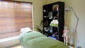Lush Grass Chinese Medicine & Acupuncture healing centre image 1